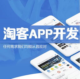 开发一个淘客app是什么价格